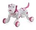 The Flyers Bay Multipurpose Realistic 2.4G Radio Remote Control Smart Dog RS.3499.00
