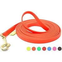 [Gesponsert]3m orange Hundeleine, kleine Hunde & Welpen | Biothane | geprüft 100kg | Handschlaufe | vernäht, Messingkarabinerchen