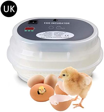 Supertop Fully Automatic Digital Poultry Hatch Egg Incubator For Hatching Chicken Duck Goose Birds-UK plug
