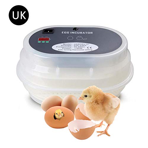 Supertop Fully Automatic Digital Poultry Hatch Egg Incubator For Hatching Chicken Duck Goose Birds-UK plug