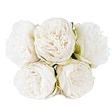  U\'Artlines - Ramo de Flores de Seda de peonía Artificial Vintage para decoración, 2 Unidades, Color café, 5 Heads White, 1 Pack