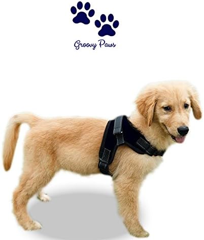 Groovypaws No Pull Dog Harness,Reflective Adjustable Dog Service Mesh Vest, Breathable soft front Padded Chest Strap,Puppy Walking Harness With Handle