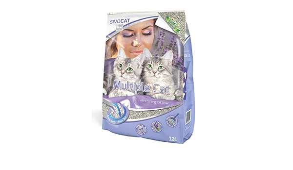 female dog collars amazon