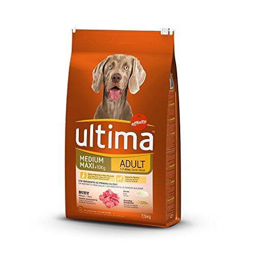 Ultima Pienso para Perros Medium-Maxi Adulto con Buey - 7.5 kg