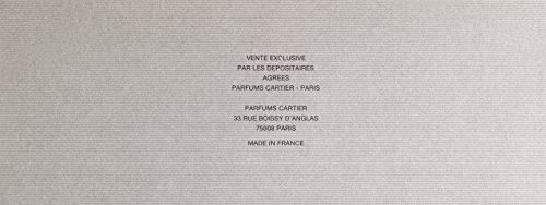 Cartier Roadster, Eau de Toilette, 100 ml - 2