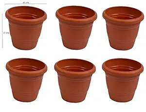Cocogarden 8-inch Plastic Planter Pots(Pack of 6)