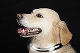 LED Hunde-Halsband Sicherheitshalsband Leuchtschlauch 3...