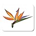 Produktbild Mouse Pads Orange Biology Colorful Beautiful Bird of Paradise Tropical Flower 3D Strelitzia White Green Beauty Bloom Mouse Pad
