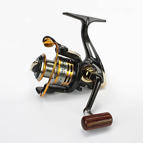 Preisvergleich Produktbild Angel Domäne Unicorn SSD 1000