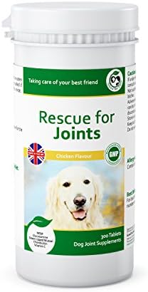 Dog Arthritis Joint Supplement by Good for Pets | Glucosamine for Dogs, Chondroitin, Dog Joint Pain Relief from Dog Arthritis | Anti Inflammatory for Dogs | Taking Care of your Best Friend | 300 100% Natural Chewable Chicken Flavoured Tablets | Proudly Made in the UK.