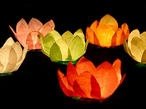 Schwimmlaterne XXL schwimmende Laterne – Blüte Wasserlaterne Hochzeit 6 Stück von Haus der Herzen ® - 2
