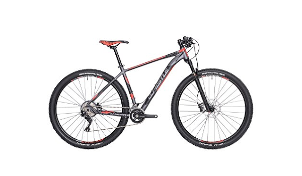 WHISTLE Mountain Bike 29\