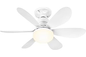 BuzzoXerex Ventilador Techo con Luz y Mando a Distancia, 52CM Lampara Ventilador Techo Pequeño con Ventiladores Silencioso, E27, Regulable en Colores y Velocidades Temporizador 6 Aspas