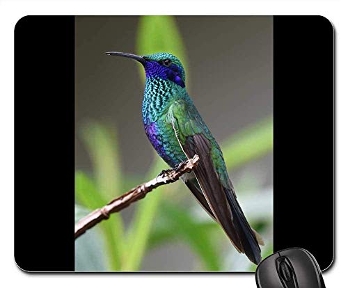 Preisvergleich Produktbild Mouse Pads - Hummingbird Bird Nature Tropical Wings