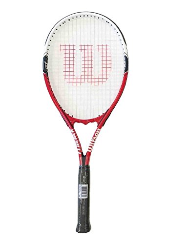 Preisvergleich Produktbild Wilson Federer 110 L2 Tennisschläger