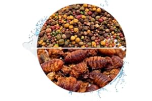 WARNICK´S TIERFUTTERSERVICE Warnick's Koifutter 8-Sorten-Mix mit Spirulina - 15 L, 3-6 mm mit 1 L Seidenraupen - Fischfutter für Koi & Zierfrische - schwimmfähig & gut verdaulich