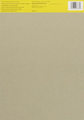 Winsor & Newton Galeria Acrylblock, 15 Blatt Acrylpapier, 300g/m², DIN A4 - 2