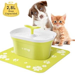 LOETAD Fuente de Agua para Mascotas Silenciosa con Almohadilla de Silicona Impermeable en Forma de Retoño y 3 Modos Ajustables Bebedero Automático Eléctrico 2.8L con Filtro de Carbón
