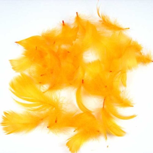 echte Federn gefärbt 15g ca. 270 Stück Deko 5-10cm, Farbe:orange - 6