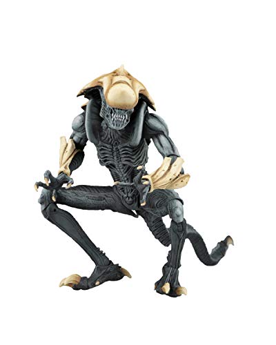 Chrysalis Xenomorph (Alien Vs Predator Arcade) Neca Action Figure