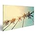 Produktbild islandburner Bild Bilder auf Leinwand Vintage Natur Foto von Kokosnuss-Palme in Küste Tropischen Küste Wandbild, Poster, Leinwandbild EXS