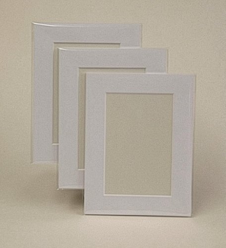 Frith&Company 100 Ice White Picture Mounts, Backs & Bags 16 x 12'' for A4