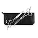 ELFINA Professional Hairdressing Scissors Sets, 2-Pic Scissor + Case + 2-Pic Hairpin + Grooming Comb, 6.0 Inch – Silver