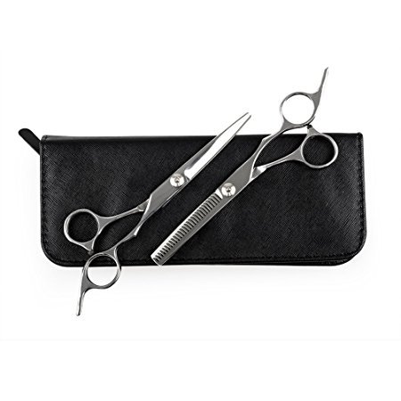 ELFINA Professional Hairdressing Scissors Sets, 2-Pic Scissor + Case + 2-Pic Hairpin + Grooming Comb, 6.0 Inch – Silver
