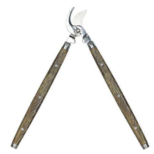 Preisvergleich Produktbild Ribiland-Astschere mit Ribiland Gegenklinge aus poliertem Edelstahl