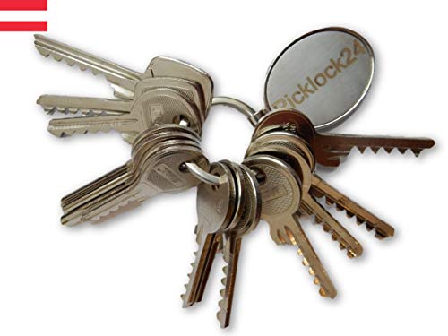 Preisvergleich Produktbild Picklock24 Schlagschlüssel-Set Österreich (14 Schlüssel)
