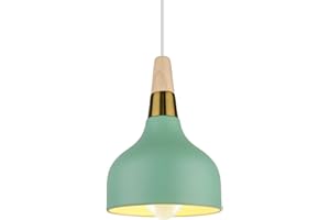 PETITES ECREVISSES Lámpara Colgante Vintage LED Lámpara de Techo Moderna E27 Iluminación de techo Retro en Madera Metal para Dormitorio Salon Cocina (Verde - 1 pieza)