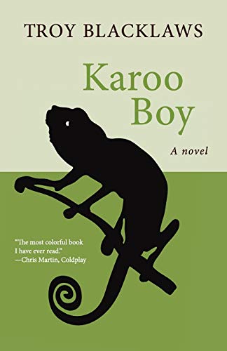 Karoo Boy: A Novel