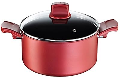 Tefal C6824602 Faitout, Titanium, Rouge, 24 cm