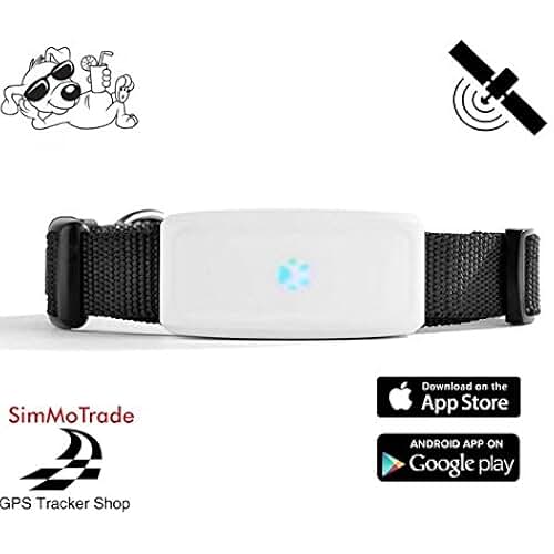 Suchergebnis auf Amazon.de für gps chip für katzen