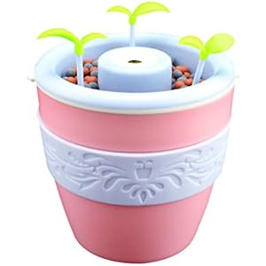 Zhuhaitf Mini Planters humidifier(No water automatically power off) turtle lizard spider cockroach hermit crab Reptile box Amphibians Small Animals Houses Cave BoxReptile Luftbefeuchter