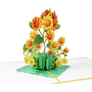 WorldCare 3D Pop Up Christmas Cards Holiday Thanksgiving Greeting Cards with Envelope Xmas Decoration Ornament Flower Pattern Cards New Year Holiday Festivals Birthday Gift(Type 5) -CS-A-269763