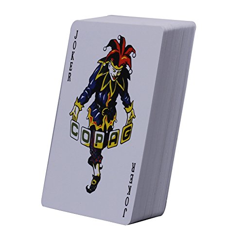 Preisvergleich Produktbild US Playing Card - Bicycle Spielkarten Plastikkarten, Pokerkarten, Poker(54 Karten)
