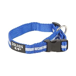 Julius-K9 216HB-IDC-NL-B Collar de Correas Tubulares IDC, 19 mm x 27-42 cm, Azul