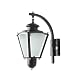 SuperScape Outdoor Lighting Exterior Wall Light Traditional WL1876 RS.1870.00