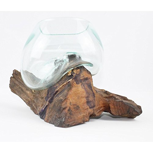Wurzelholz | Vase | Kaffeewurzel | Glasvase | Handarbeit | jede Vase ein Unikat | klein - 2
