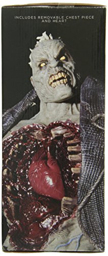DC Collectibles Batman Arkham City Solomon Grundy Deluxe Action Figure