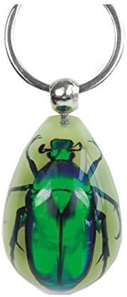 WeGlow International Real Green Rose Chafer Glow in The Dark Keychain by Virginia Toy