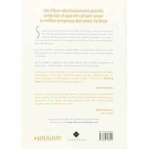 Working Happy. Tot El Que Et Cal Per Crear La Millor Empresa Del Món (Sinergia)