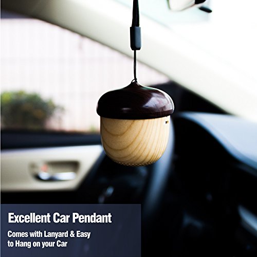 Portable-Bluetooth-Speaker-Nut-ZCITY-Mini-Wireless-Wood-Outdoor-Rechargeable-Loudspeaker-Car-Subwoofer-stereo-audio-player-as-Christmas-Gift-for-Smartphone-and-Home-Deco