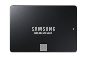 Samsung 750 EVO MZ-750500BW 500GB interne SSD (6,35 cm (2,5 Zoll)) schwarz