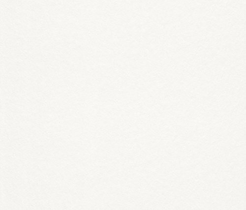 rasch Makulaturvlies 165005