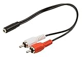 Tipo de genero: macho/hembra Valueline VLAP22255B02 Adaptador de Cable 2 x RCA 3,5mm Negro, Rojo, Blanco - Adaptador para Cable (2 x RCA, 3,5mm, Male Connector/Female Connector, 0,2 m, Negro, Rojo, Blanco)