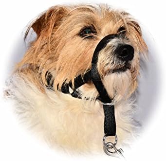 MALWERA BLACK STOPS PULLING COLLAR for PUPPY DOG TRAINING Head Muzzle Halter Halti Clip On (2)