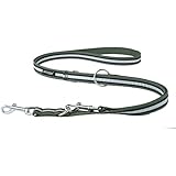[Gesponsert]amiplay Regulierbare Hundeleine 6 in 1 