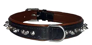 Skora Genuine Leather Spike Leather Dog Collar with Padding 1 in Black- Medium